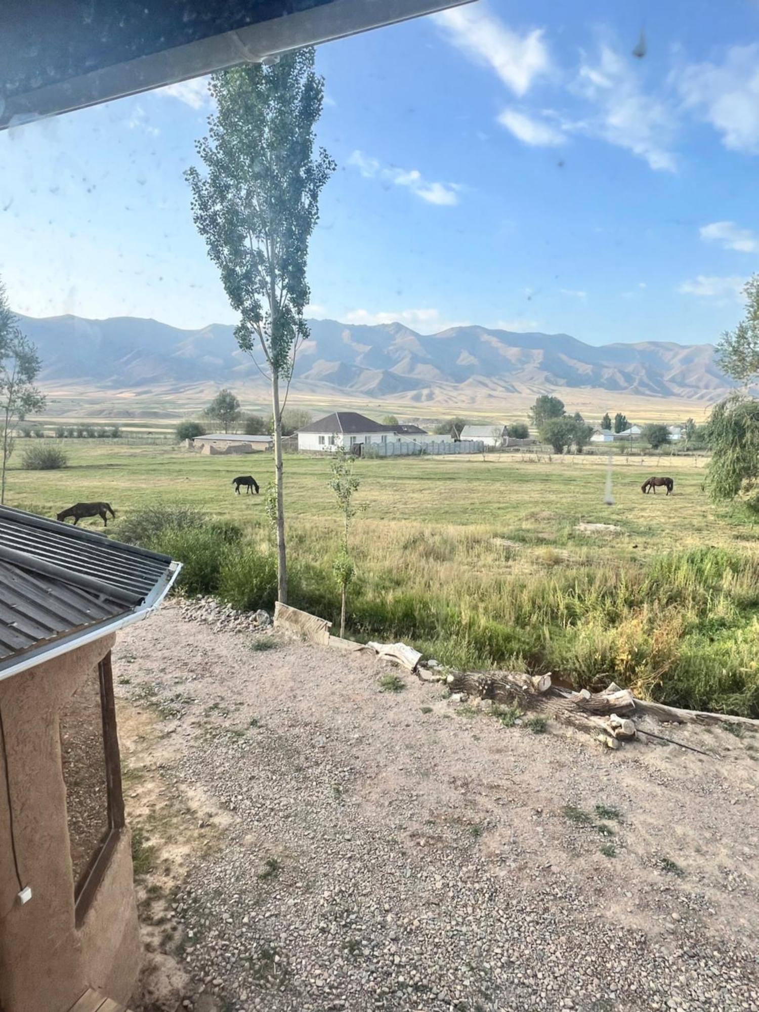 Kyzart Hotel & Horse Tours Bagysh Eksteriør billede